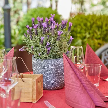 Sankt Maximilian מלון 3*