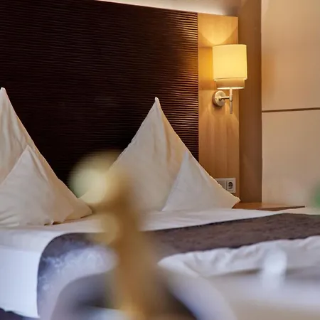 מלון Sankt Maximilian 3*