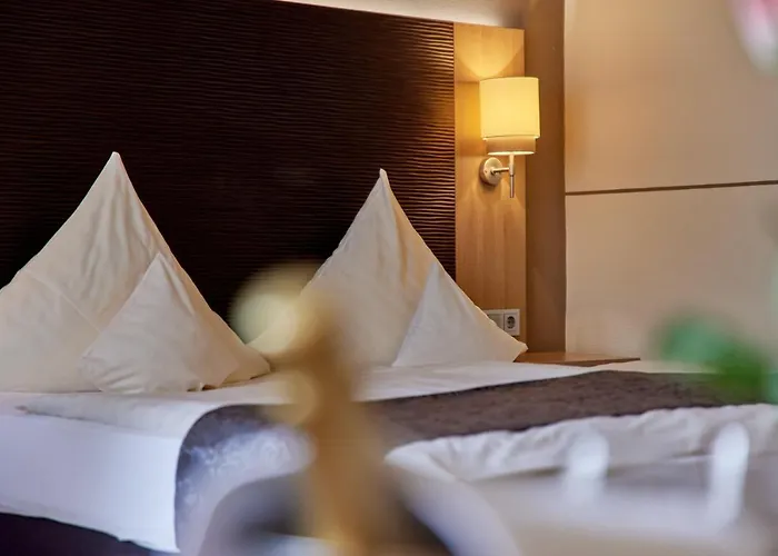 מלון Sankt Maximilian 3*